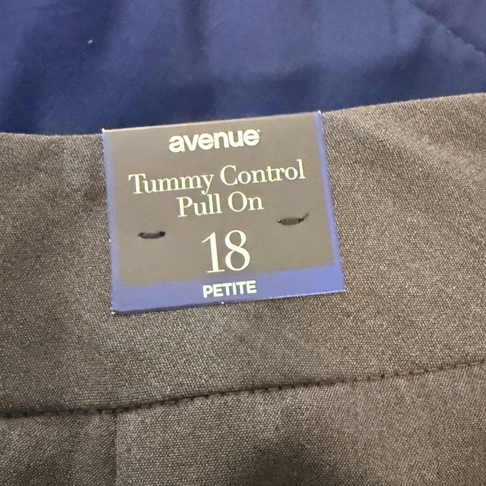 Avenue Charcoal Tummy Control Pull-On Pants